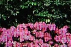 Untitled 0721