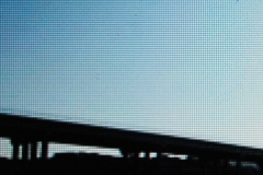 Untitled 0521