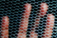 Im Netz