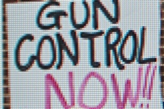 Gun Control Now
